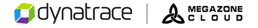 Dynatrace | Megacloud